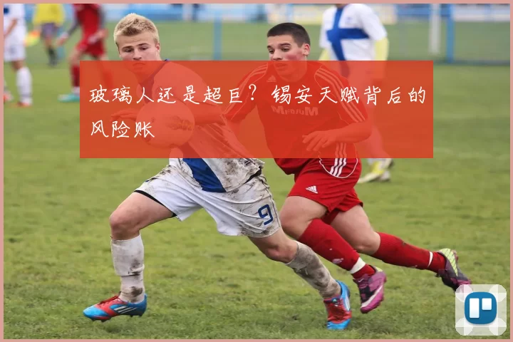 玻璃人还是超巨？锡安天赋背后的风险账