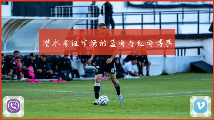 潜水考证市场的蓝海与红海博弈
