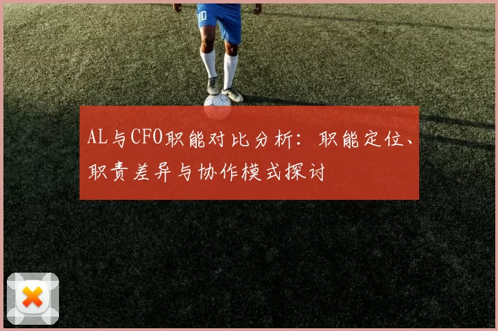 AL与CFO职能对比分析：职能定位、职责差异与协作模式探讨