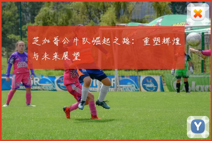 芝加哥公牛队崛起之路：重塑辉煌与未来展望