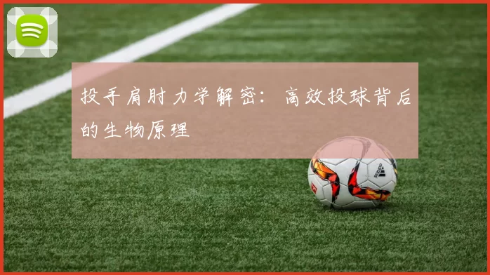 投手肩肘力学解密：高效投球背后的生物原理
